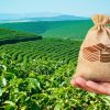 09-12-2020_Por-que-os-insumos-agricolas-sao-mais-caros-no-Brasil-768×402 09-12-2020_Por-que-os-insumos-agricolas-sao-mais-caros-no-Brasil-768x402